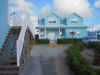 oceanfback.JPG (30941 bytes)