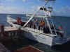 reefseeker.JPG (40460 bytes)