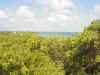 viewfrmlite.JPG (43375 bytes)