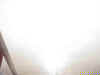fog.jpg (2939 bytes)