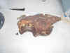 claw.jpg (35766 bytes)